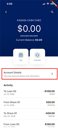 Mobile banking account screenshot