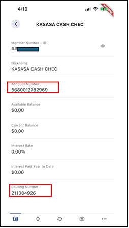 Mobile Banking account information screenshot