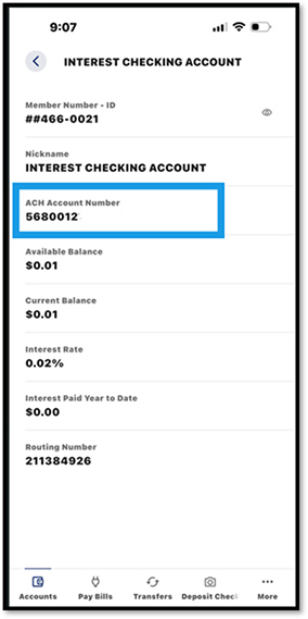 Mobile Account Number Screenshot