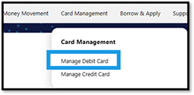 Manage Debit Card on Desktop Step 1
